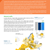 Summer 2024 performance report published by Eurocontrol