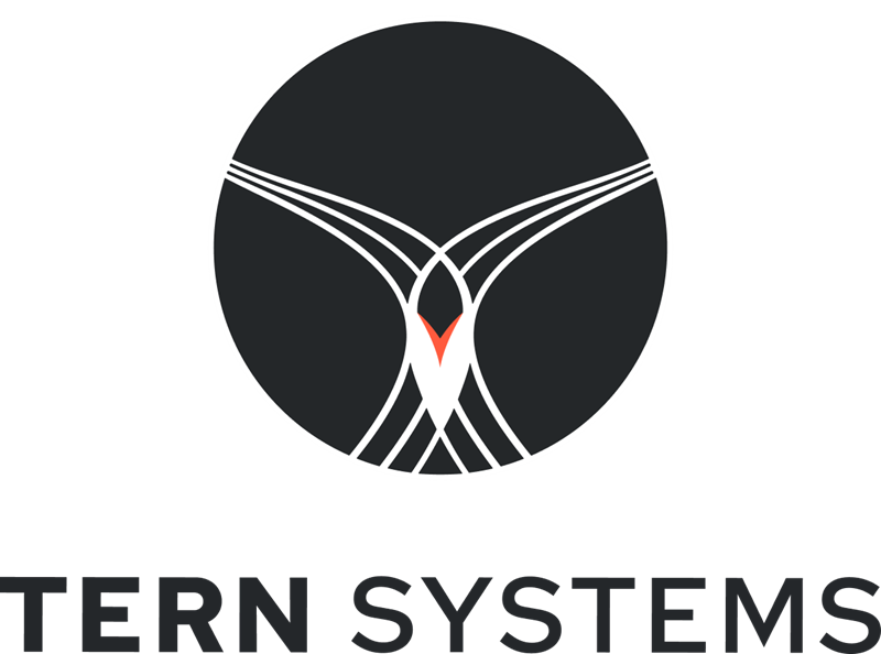 TERN SYSTEMS